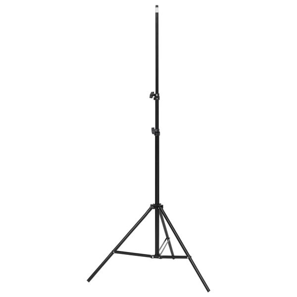 vidaXL Kit de studio photo avec éclairage toile de fond et réflecteur