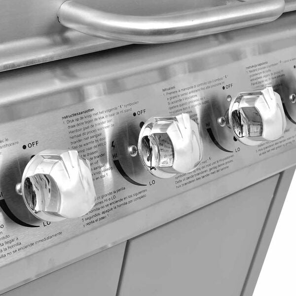 vidaXL Barbecue à gaz 4 + 1 zone de cuisson Argenté
