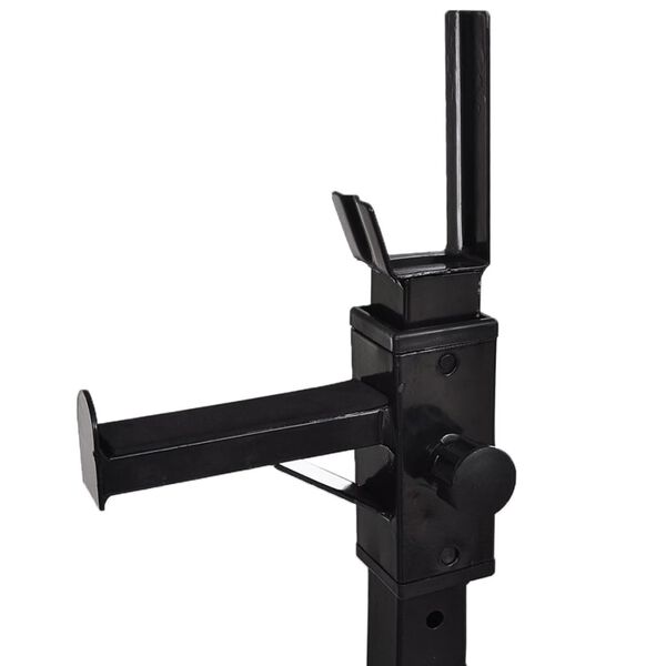 vidaXL Support d'haltères avec jeu d'haltères et de poids 30,5 kg